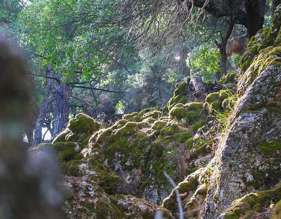 Villa Dio Petres Kroustas ภายนอก รูปภาพ